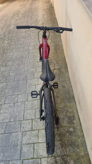 Bicicleta Trek Roscoe 24 Niños