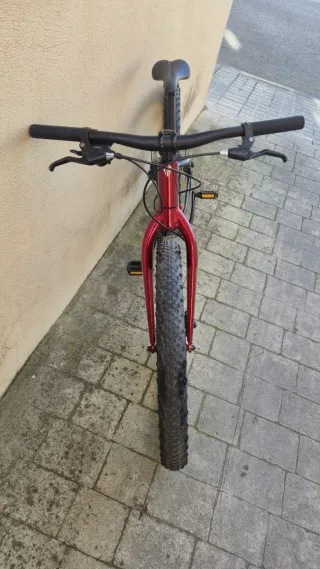 Bicicleta Trek Roscoe 24 Niños