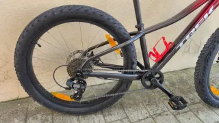 Bicicleta Trek Roscoe 24 Niños