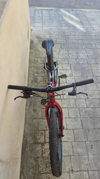 Bicicleta Trek Roscoe 24 Niños