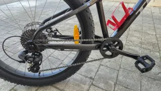 Bicicleta Trek Roscoe 24 Niños