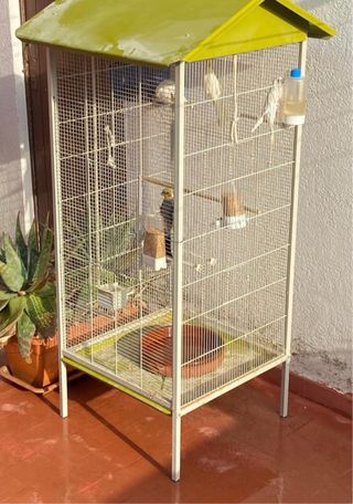 Jaula para pájaros grande con techo verde