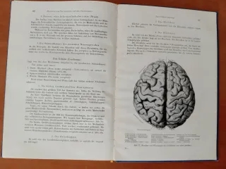 Anatomie und Physiologie - Lehrbuch