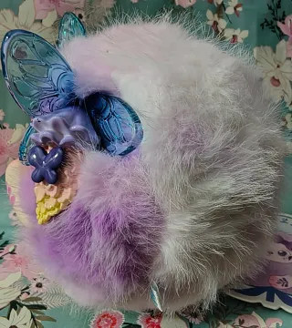 Funii Wondering In Wonderland