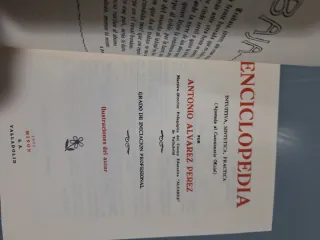 Enciclopedia Álvarez iniciacion profesional