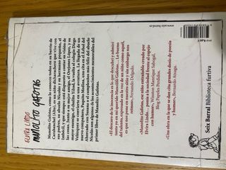 Libro MANOLITO GAFOTAS