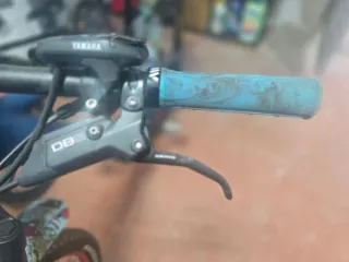 Bicicleta Eléctrica E-Bike Raymon Trailray 160E