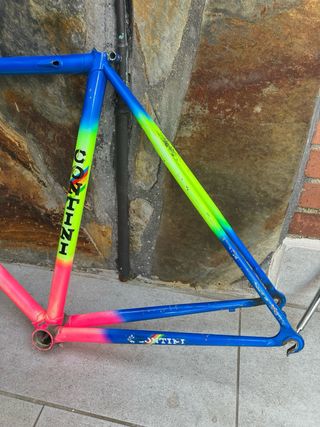 Cuadro Bicicleta Contini Azul/Verde/Rosa