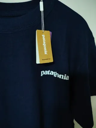 Camiseta Patagonia Azul