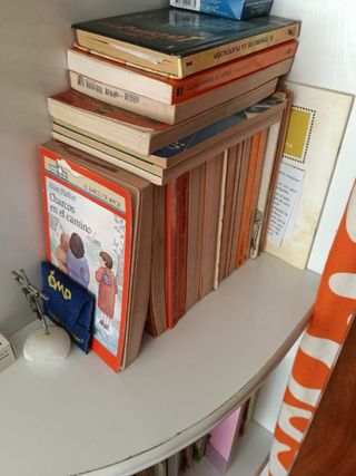 Lote libros de diferentes temas