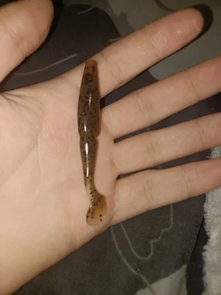 Señuelos de pesca
