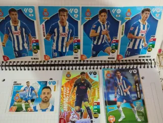 Cromos Panini Futbol RCD Espanyol