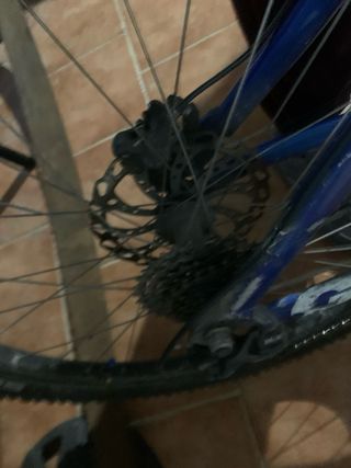 Giant Glori DH Bicicleta de Descenso