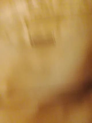 Borsa David Jones nera con manici marroni