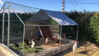 Gallinero metálico gris