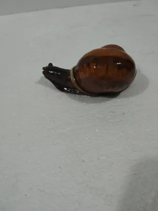 Caracol Faiança Portuguesa