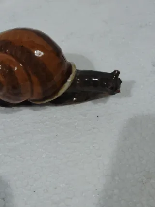 Caracol Faiança Portuguesa