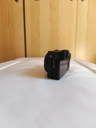 Sony a6600