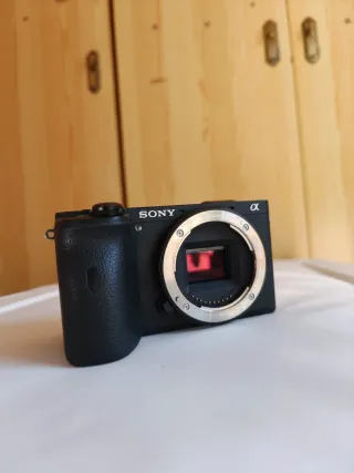Sony a6600