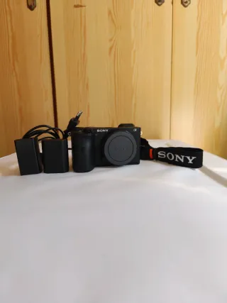 Sony a6600