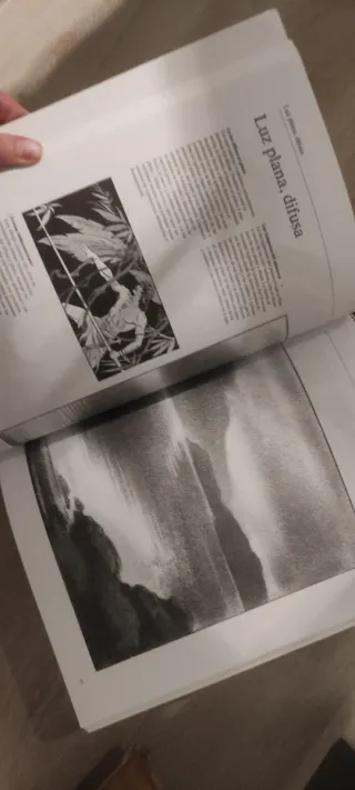 Libro arte: Dibujo de luces y sombras a su alcance
