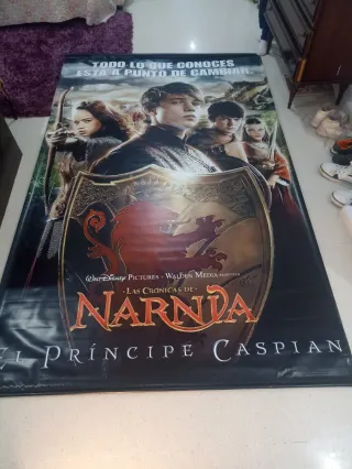 Cuadro Las Crónicas de Narnia