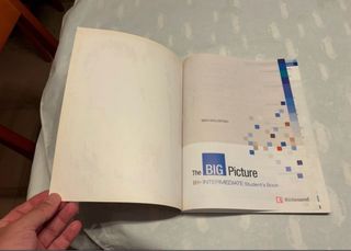 The Big Picture Intermediate Student's Book