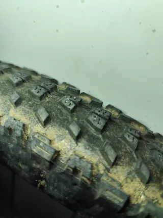 Maxxis Ardent Race 29x2.20 TR EXO 3C MaxxSpeed