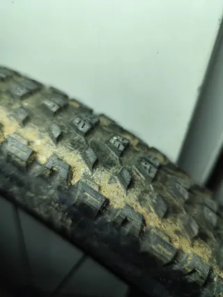 Maxxis Ardent Race 29x2.20 TR EXO 3C MaxxSpeed