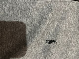 Tuta Polo Ralph Lauren  tutti taglie mai indossato