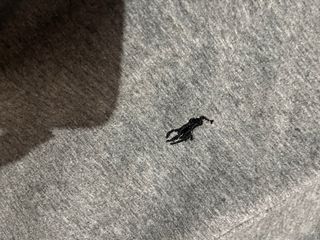 Tuta Polo Ralph Lauren  tutti taglie mai indossato