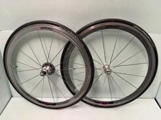 Ruote Campagnolo Shamal 700c 8v Michelin pro LEER