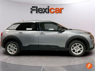 Citroën C4 Cactus BlueHDi 73KW (100CV) Business