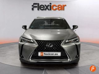 Lexus UX 2.0 250h Business