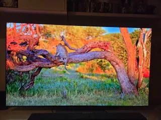 TV OLED LG C2 65 PULGADAS