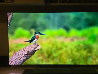 TV OLED LG C2 65 PULGADAS