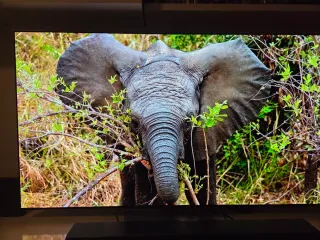 TV OLED LG C2 65 PULGADAS