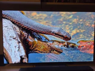 TV OLED LG C2 65 PULGADAS
