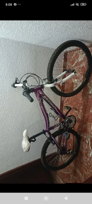 Bicicleta Morada Colluer