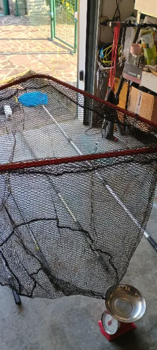 Testa guadino gommata 50x50