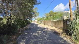 Solar en venta en Alginet