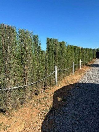Terreno en venta en Onda