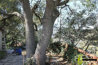 Terreno en venta en Torrelles de Llobregat