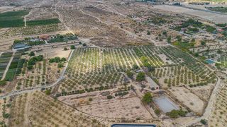Casa rural en venta en Jubalcoi en Elche