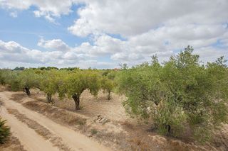 Casa rural en venta en Jubalcoi en Elche