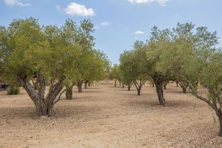 Casa rural en venta en Jubalcoi en Elche