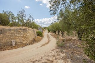 Casa rural en venta en Jubalcoi en Elche