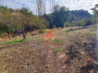 Casa rural en venta en Ronda