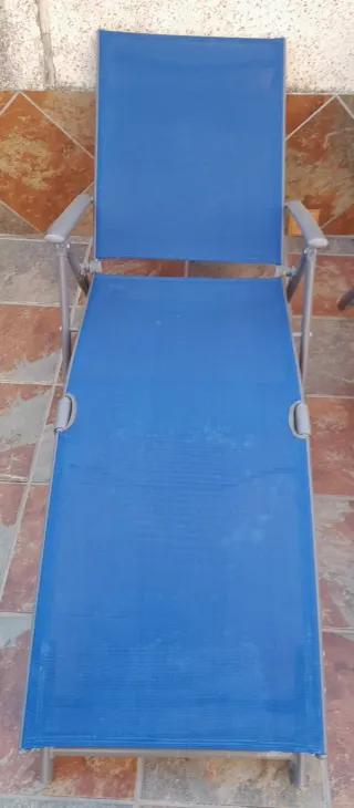 2 Tumbonas de Jardín Plegables