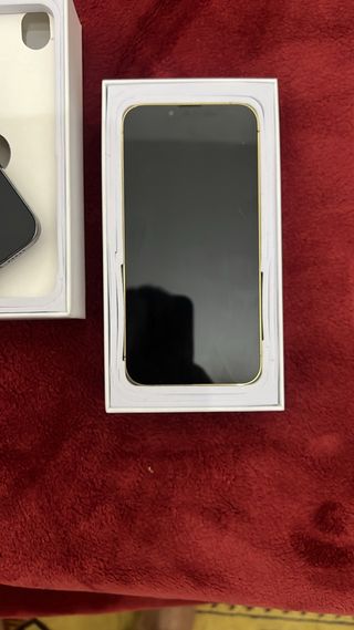 iPhone 13 Pro 256GB Come Nuovo